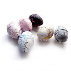 Water expansion dinosaur eggs hatching new exotic toy creative toys 