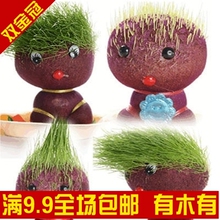 [金冠沪9.9包邮]草娃娃 （款式多种，随机发货）