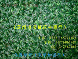 仿真植物/仿真草坪/人造草坪/塑料草皮/美化绿化环境/假草坪草皮
