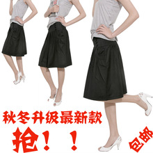 爱美女士必备 女装 韩版 百褶裙 半身裙 秋季 包臀 中裙子 OL显瘦