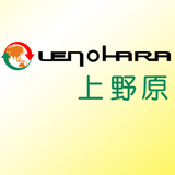  上野原 日语翻译 中日互译 日本流行 时尚杂志 5元100字