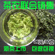 御恒春日照绿茶叶雪青茶自产自销26元50克,满半斤送礼盒装包邮