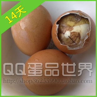  生鲜美食14天活珠子雏凤明珠 活珠鸡宝 极品养生滋补 旺鸡蛋 喜蛋