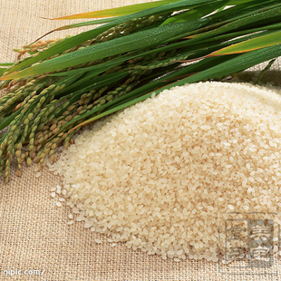  御之味|日韩料理紫菜包饭寿司材料 寿司饭/饭团米 寿司米500g分装