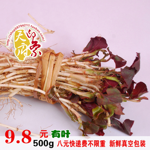 新鲜鱼腥草 新鲜蔬菜当天采摘 折耳根/则耳根（有叶）抗辐射500g