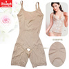 �찲�� ��������˿�������������¨�(��ֵ�Ƽ�)