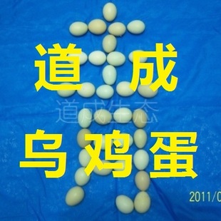 生态散养乌鸡蛋(绿壳鸡蛋/青壳蛋/草鸡蛋土鸡蛋/野 纯种五黑乌骨)
