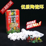 taobao english 3219358118