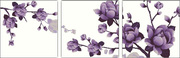 胡丽丽(胡丽丽)十字绣dmc套件紫花欲放三联画有3d5d精准印花印布