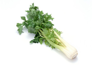  天地生精品蔬菜 芹菜500g 北京满百包邮