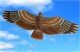 潍坊风筝 求信誉低利润 精致真丝绢张嘴中鹰风筝C 136x48cm