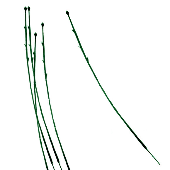 仿真杆：中号玫瑰单枝杆65*0.6cm 单枝约22g 丝网花材料批发