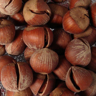  今年新货 美国大榛子 毛榛 清甜好味道 250克