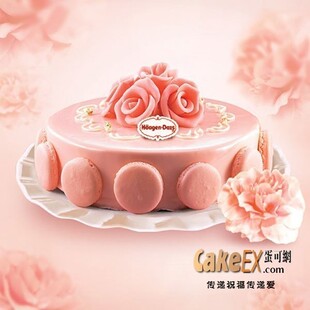  哈根达斯｜品牌热卖生日蛋糕沈阳速递｜玫瑰馨语 香草+草莓冰淇淋