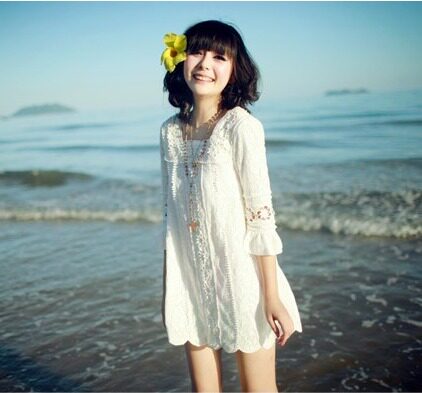 2012韩版全蕾丝超美雪纺中袖勾花连衣裙831