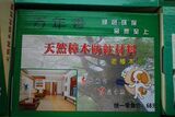 天然樟木片  地板防虫剂  地板 香樟木 防蛀