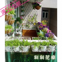 促销热卖～春秋播盆栽易养（组合套餐）香草种子花种子～南方地区
