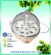 天际DZG-6A蒸蛋器精品小家电