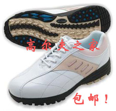 Обувь для гольфа 正品hole-in固定钉 女士超轻高尔夫球鞋 OTHER