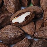 店家推荐：鲍鱼果怎强记忆养神补脑食品一分钱一分货/半斤 坚果