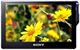 实实在在 挥泪促销 限量18台 索尼M89 16G MP4 正品行货