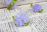4月新-手工DIY配件.<span class=H>服饰配件</span>.(透明缎带花) --浅紫