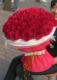 北京鲜花速递99朵红玫瑰