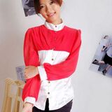 2012韩版新款秋装雪纺衬衫 甜美OL女装上衣服  特色