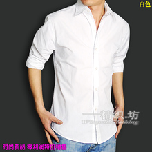 2010男装秋装新款特价 纯棉修身百搭休闲 纯色长袖衬衫