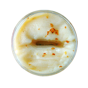 买1送3（小样）！膜法世家金桂蜜花瓣眼膜 保湿去黑眼圈眼袋