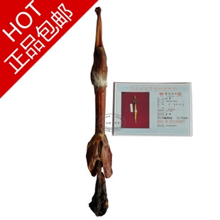  岩秀源 鹿鞭 正品 带鉴定证书  男人必选！特价