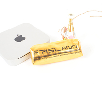 新款 FT/Ftisland 笔袋