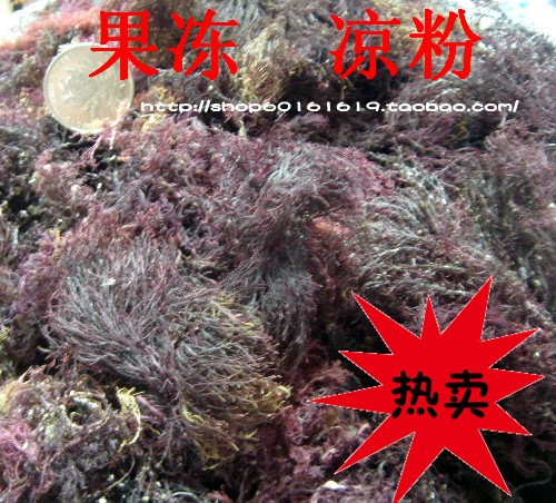 沙根子 海凍菜 海石花 石花菜 牛毛菜 制作海涼粉沒漂白過在類目 水產肉類/新鮮蔬果/熟食, 海鮮/水產品/製品, 藻類, 海帶中 - 來自Buy2taobao.com提供專業的淘寶代購服務