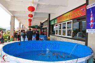 销创业折叠鱼池移动鱼缸，直径1.6*高0.8米锦鲤池酒店展会海鲜暂品