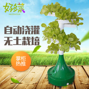 立柱自动水培无土栽培设备种植架水耕阳台种菜花盆utshb24ei1