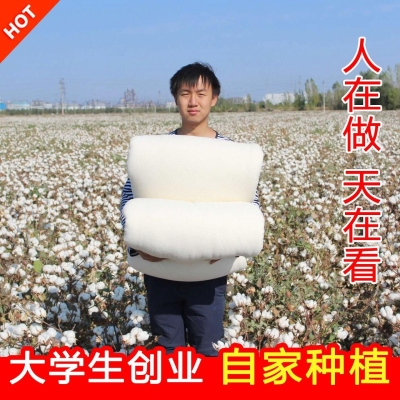 新疆棉被纯棉花被子冬被全棉春秋被芯，棉絮床被褥子单人学生棉胎