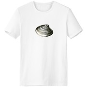 黑色海洋生物扇贝插画男女白色短袖t恤创意纪念衫个性t恤衫礼物