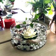 透明玻璃花瓶 创意鱼缸圆形桌面 宜家家居装饰 玻璃鱼缸乌龟缸