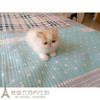 上海家养繁育加菲猫宠物猫异国，短毛猫纯种加菲，幼猫红白梵文加菲p