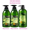 olive shampoo&conditioner&shower gel橄榄洗发水护发素沐浴露
