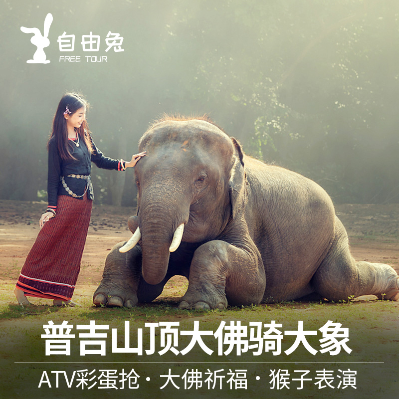 自由兔 普吉岛骑大象一日游半日游山顶大佛 ATV 猴子表演泰国旅游在类目 度假线路/签证送关/旅游服务, 自由行/跟团游, 境外当地玩乐中 - 来自Buy2taobao.com提供专业的淘宝代购服务