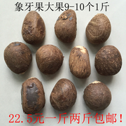 象牙果原果特大果，6-8个把件雕刻菩提，根文玩原料