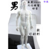 中医教学人体经络模型专业练习针灸，小人穴位模型，男50cm人体软模特