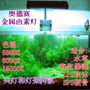 奥德赛水草金属卤素灯 海水珊瑚水族箱金卤灯 SPS硬骨灯 70 150W