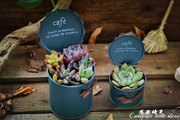 zakka杂货 手工复古个性创意 咖啡罐头 铁皮多肉花器 花盆 收纳盒