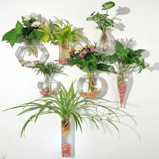 悬挂绿植水培花瓶室内玻璃，透明厚简约现代小清新可爱插花创意个性