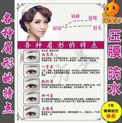 各种眉形的特点五种眉毛韩式半永久眉眼唇美容广告宣传海报墙壁画