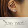 韩国925纯银耳贴 排钻连体耳排耳环耳钉时尚气质清新女耳饰品
