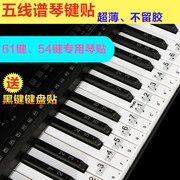 61键54键专用五线谱简谱超薄透明电子琴送黑键琴贴小钢琴键盘贴纸