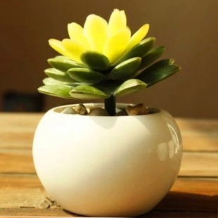 时尚桌面欧式白瓷创意圆球形多肉，陶瓷小花卉迷你可爱个性花盆